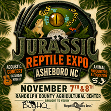 Load image into Gallery viewer, Pre-Sale Tickets for Jurassic Reptile Expo
